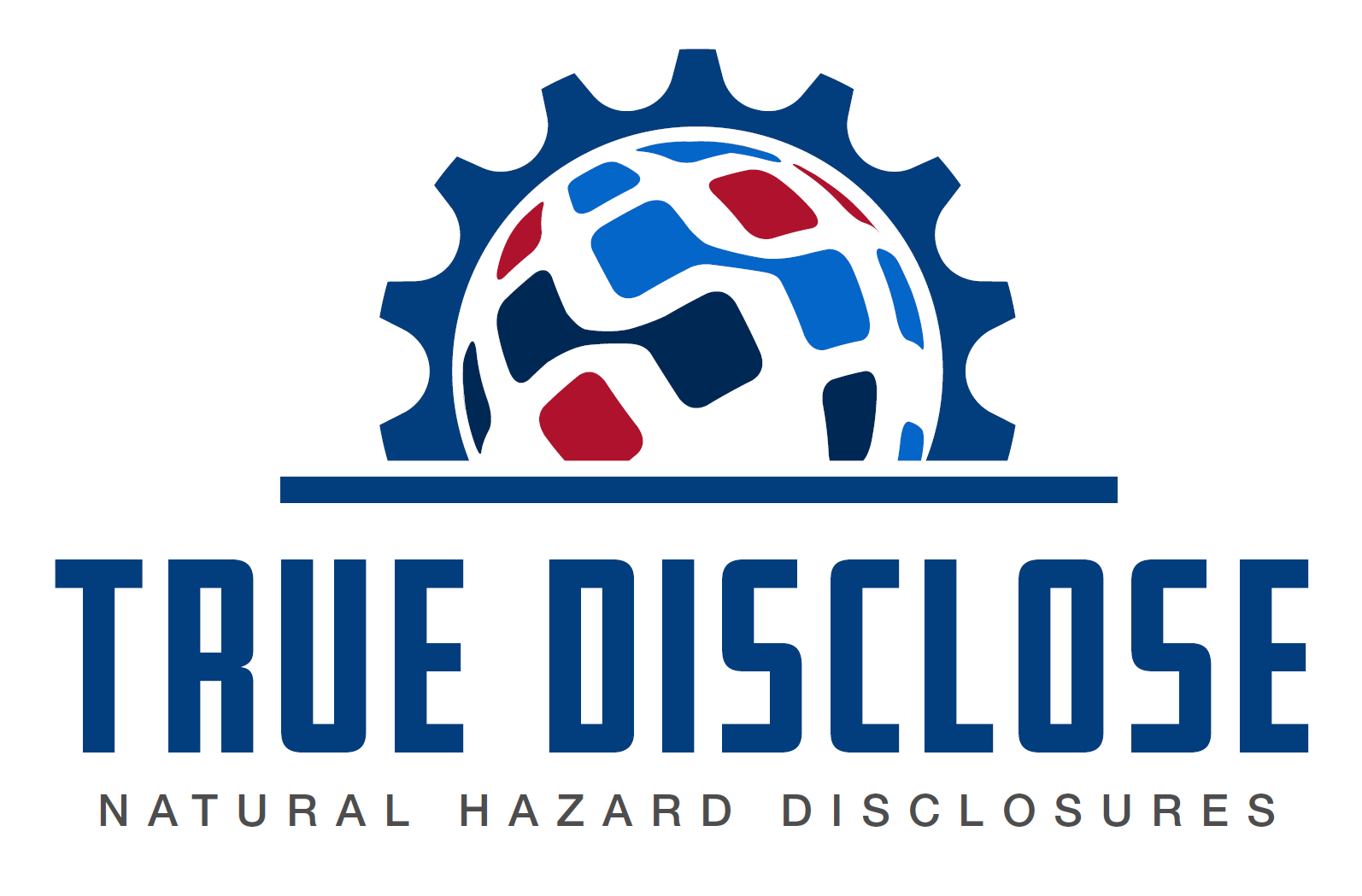 True Disclose Logo